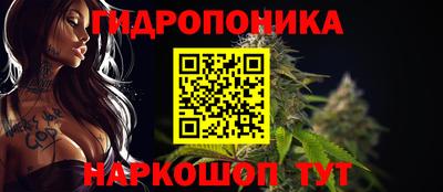 мдпв Гагарин