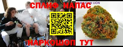 мдпв Гагарин