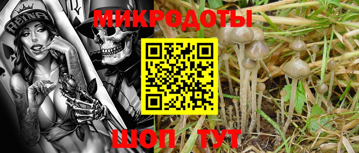 Галлюциногенные грибы MAGIC MUSHROOMS Нижний Новгород