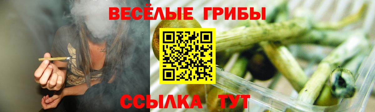 Нижний Новгород  Псилоцибиновые грибы мухоморы  Вход с VPN  Псилоцибиновые грибы Psilocybine cubensis 